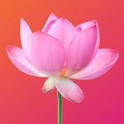 Lotus Wei Icon